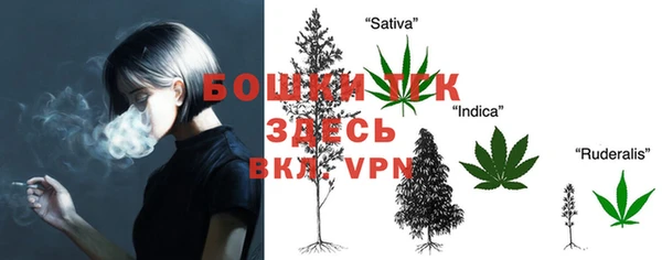 СК Богданович