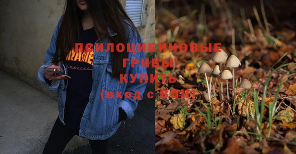 МДПВ Богородицк