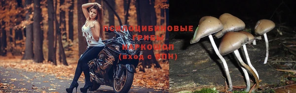 СК Богданович