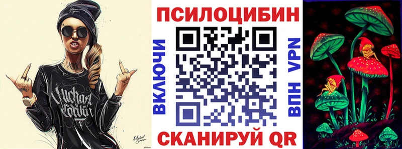 наркота  Егорьевск  Псилоцибиновые грибы Cubensis 